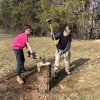 2020-Wood Splitting